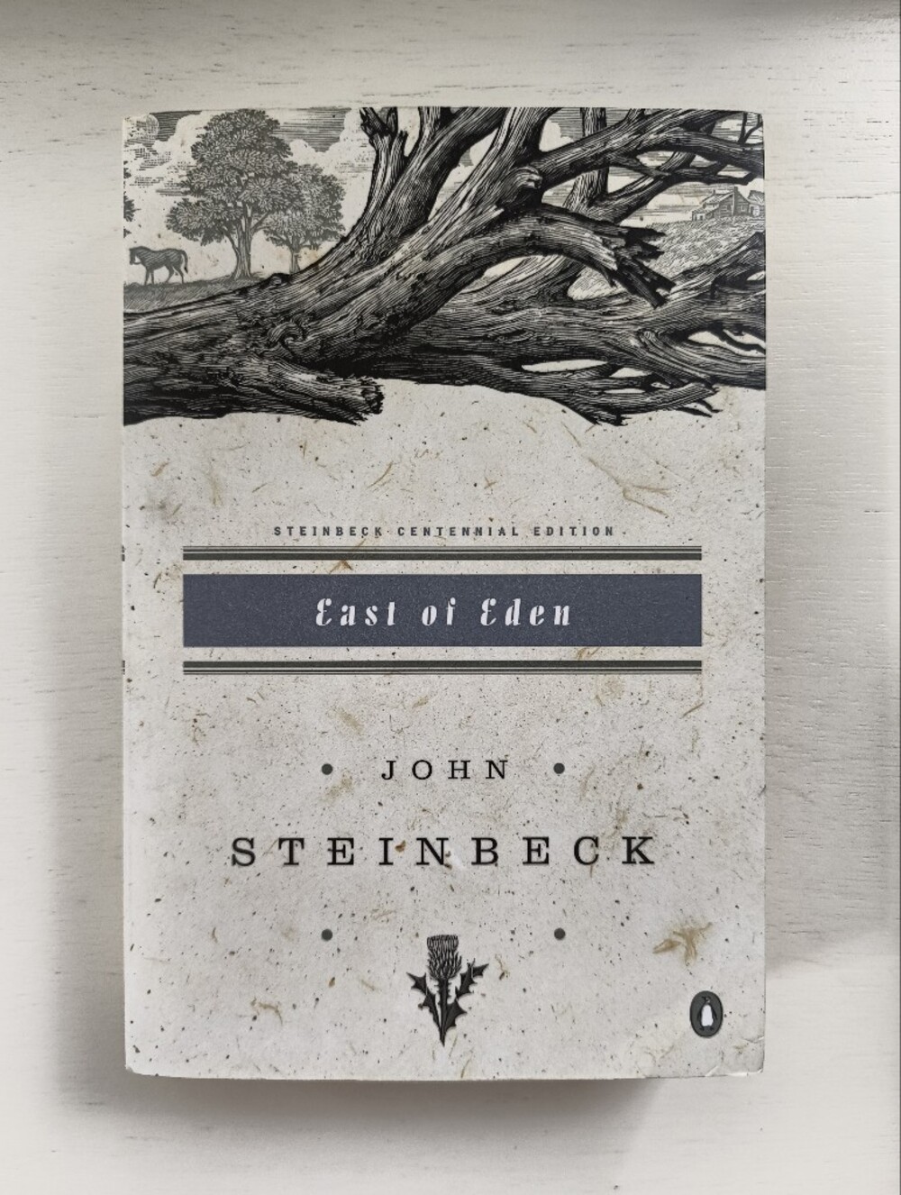 East of Eden by John Steinbeck (Paperback)